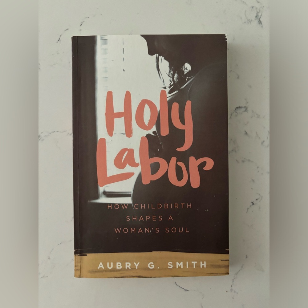 Holy Labor by Aubrey G. Smith book